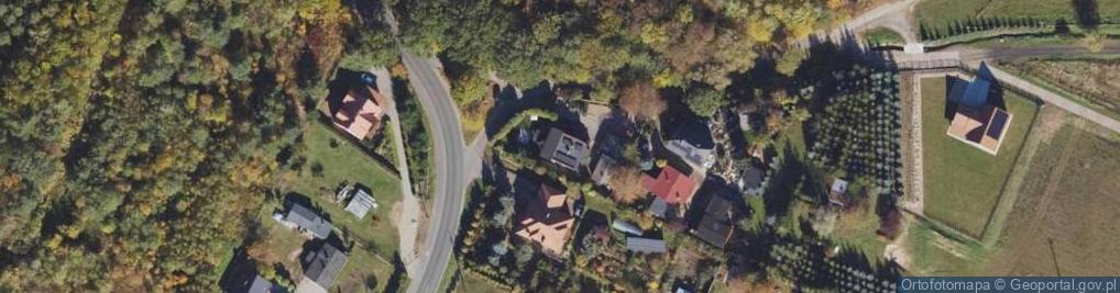 Zdjęcie satelitarne CBH International