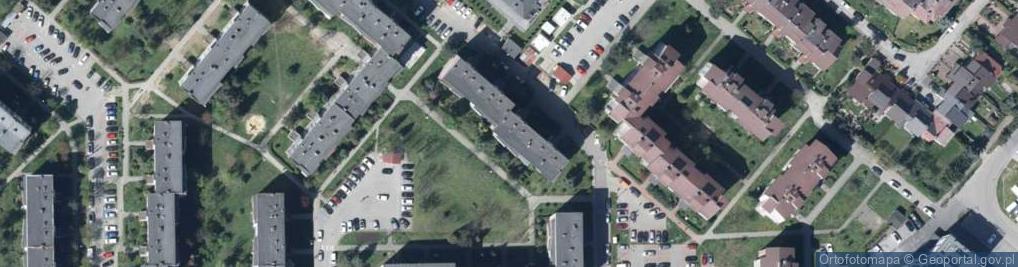 Zdjęcie satelitarne Cecylia Baraniec