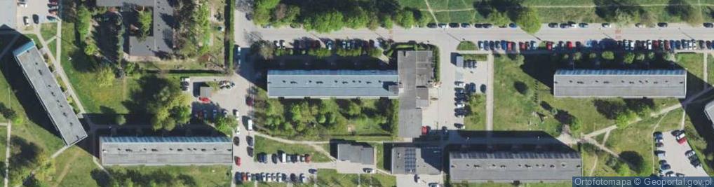 Zdjęcie satelitarne Cecylia Głosek - Działalność Gospodarcza