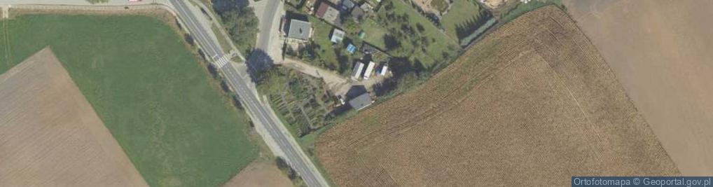 Zdjęcie satelitarne Cedrus Usługi Ogrodnicze Marcin Rejment