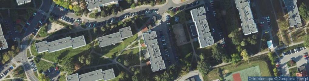 Zdjęcie satelitarne Centrum Ratownictwa Rescue