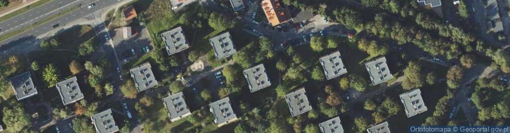 Zdjęcie satelitarne Centrum Rozwoju Mózgu Justyna Frankiewicz