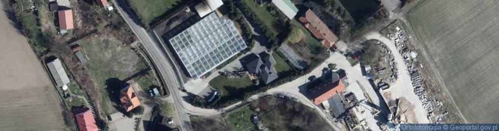 Zdjęcie satelitarne Centrum Zieleni Ogrodnictwo Wojnowscy Eugeniusz Wojnowski Piotr Wojnowski Robert Wojnowski
