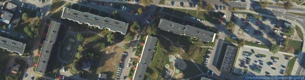 Zdjęcie satelitarne china-town.pl Daniel Jurkiewicz
