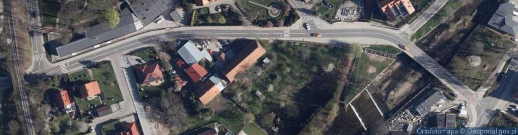 Zdjęcie satelitarne Ciucias S.Mechsam., Świdnica