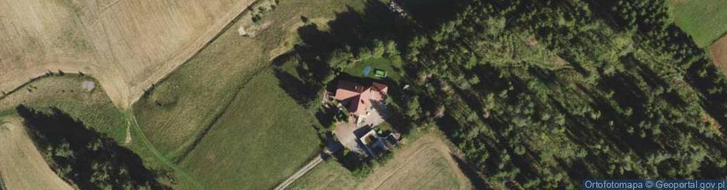 Zdjęcie satelitarne Cowboy Krzysztof Wasilewski Zdzisław Wasilewski