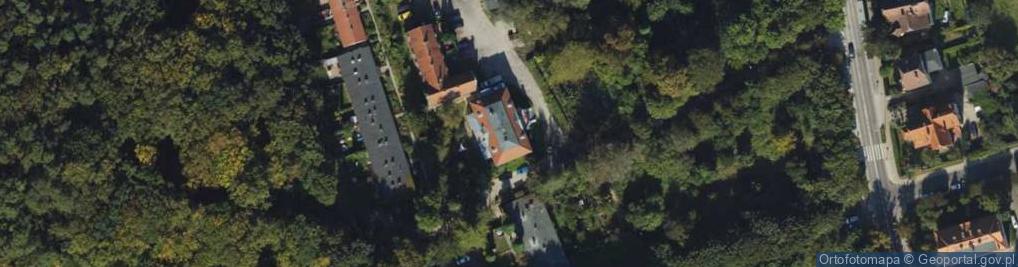 Zdjęcie satelitarne Człowiek Renesansu Łukasz Lewandowski