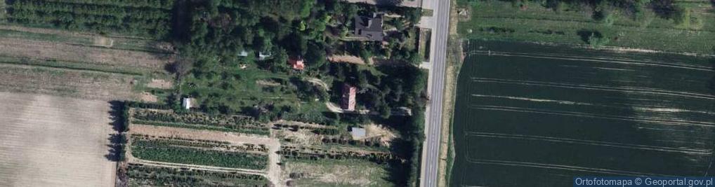 Zdjęcie satelitarne D M w Dorota Maria Wójcik
