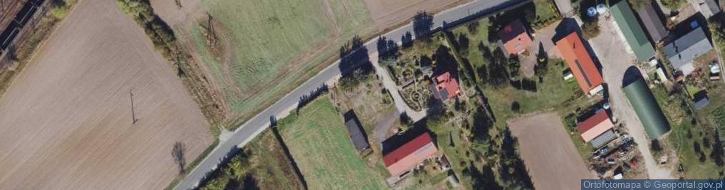 Zdjęcie satelitarne Damian Klonowski Agrotrans Damian Klonowski