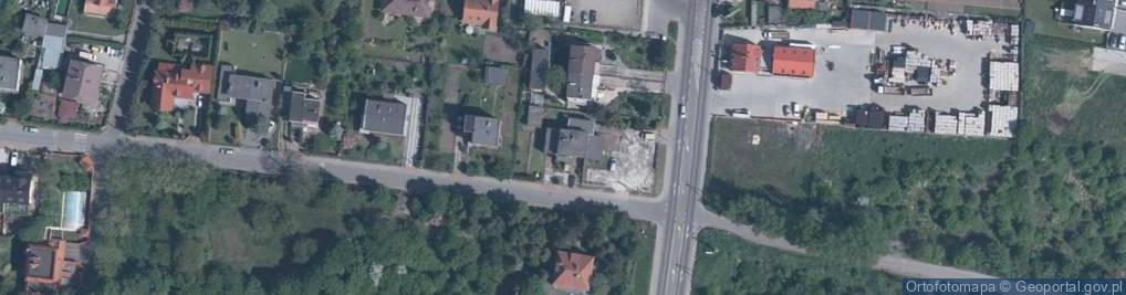 Zdjęcie satelitarne Dandelion