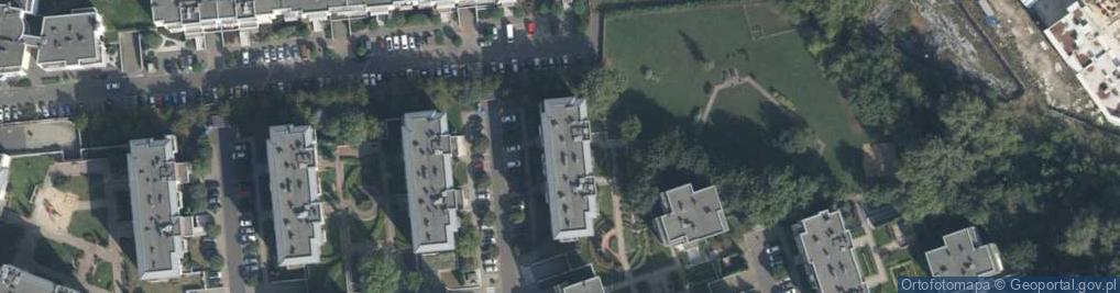 Zdjęcie satelitarne Danubius Culture Art Kinga Piotrowiak Junkiert