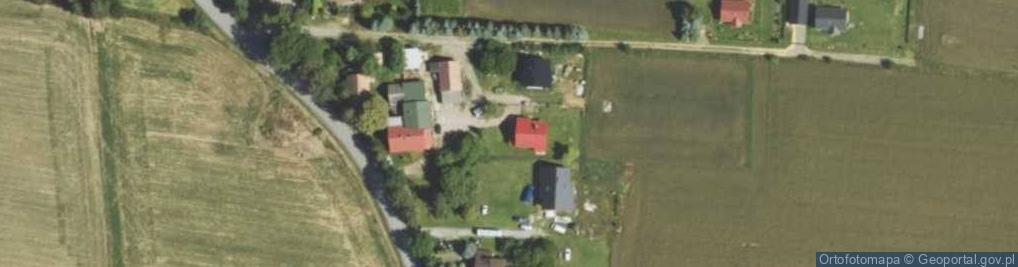 Zdjęcie satelitarne Danuta Bizoń - Działalność Gospodarcza
