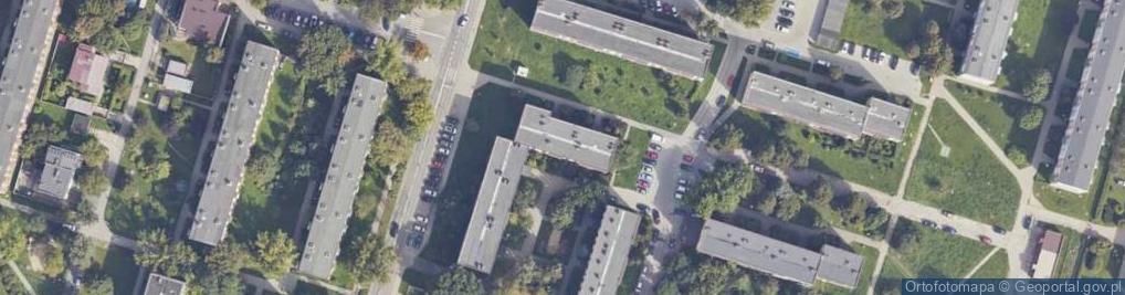 Zdjęcie satelitarne Danuta Lewandowska - Działalność Gospodarcza