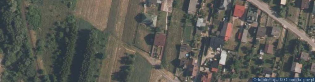 Zdjęcie satelitarne Danuta Tokarska - Działalność Gospodarcza