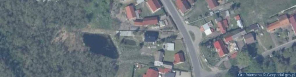 Zdjęcie satelitarne Danuta Wiśniewska - Działalność Gospodarcza