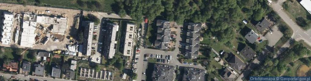 Zdjęcie satelitarne Dariusz Kowalewski