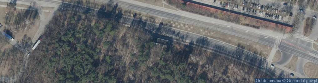 Zdjęcie satelitarne Dariusz Placek