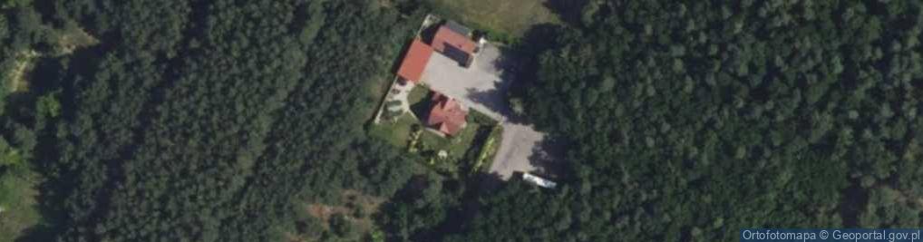 Zdjęcie satelitarne Dariusz Targaszewski Trans - Line