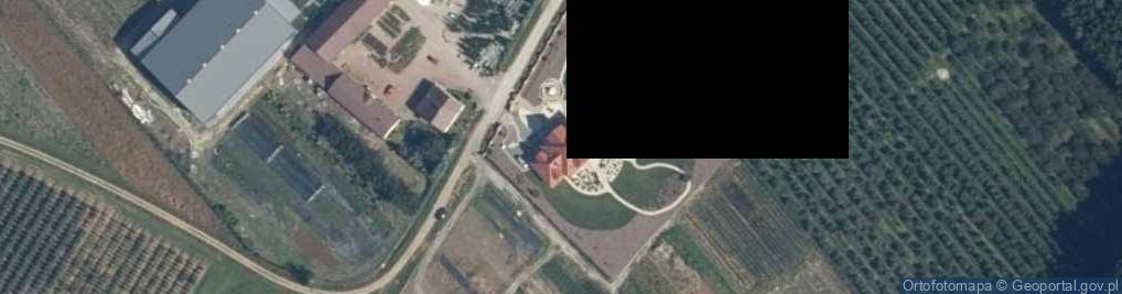 Zdjęcie satelitarne Dariusz Wójcik PLANT FACTORY Szkółka drzew i krzewów