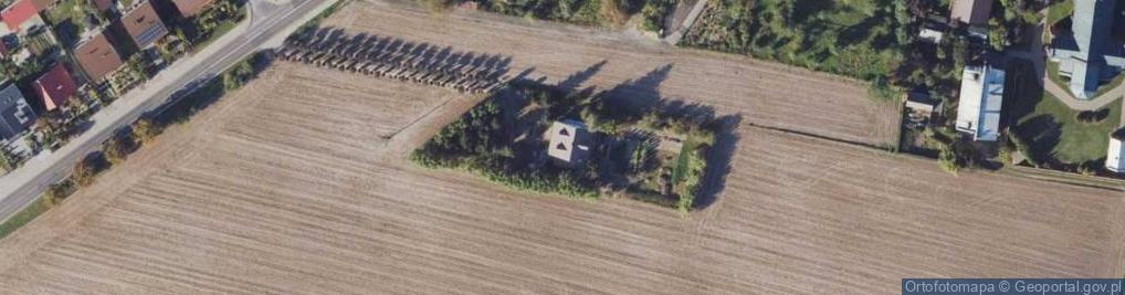 Zdjęcie satelitarne Dawid Banaszewski
