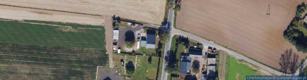 Zdjęcie satelitarne Dawid Pachliński - Transport Ciężarowy
