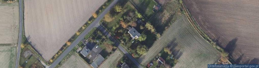 Zdjęcie satelitarne Dawid Sternalski