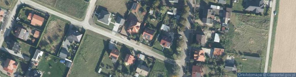 Zdjęcie satelitarne Delfin Robert Jarosław Ożga