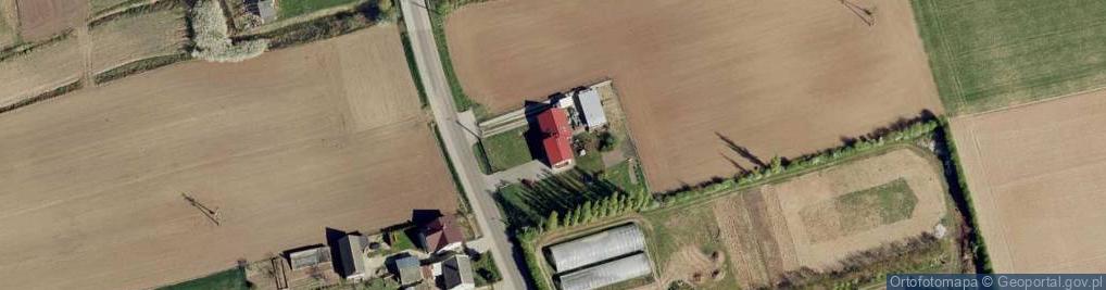 Zdjęcie satelitarne Delitaste Grzegorz Harenda