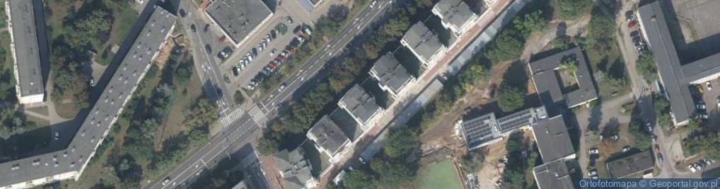 Zdjęcie satelitarne Desire Izabela Dybska Bożena Morzy Pietrucha