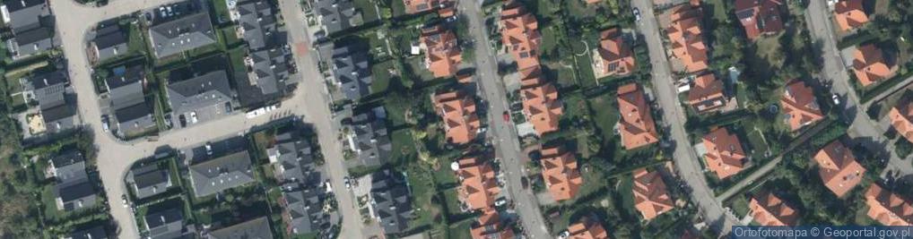 Zdjęcie satelitarne Diana Paciorek