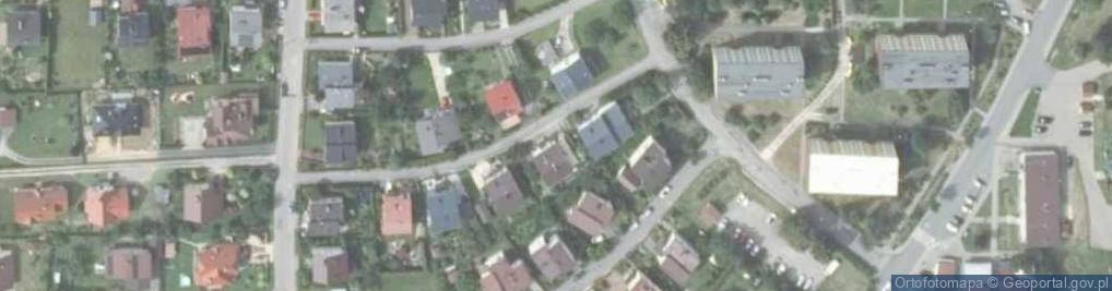 Zdjęcie satelitarne Diana Turkot