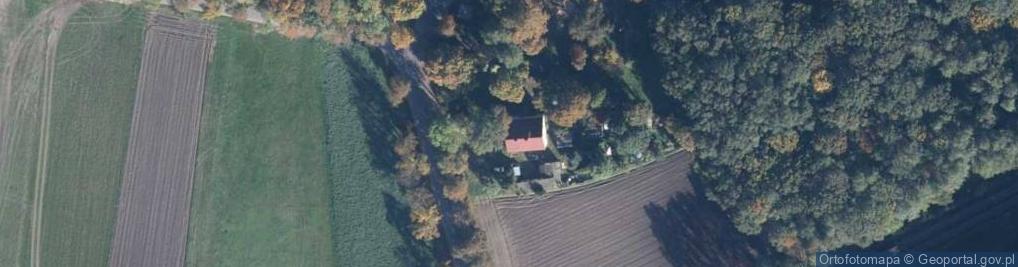 Zdjęcie satelitarne Didu Tattoo Dawid Duda