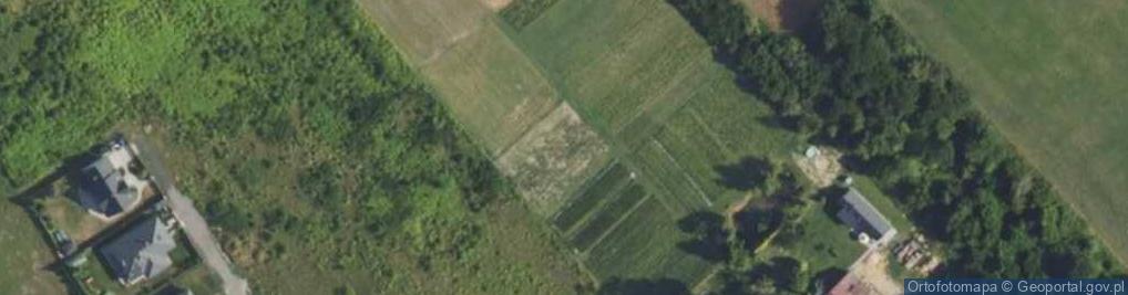 Zdjęcie satelitarne Digital Concept Andrzej Kuca