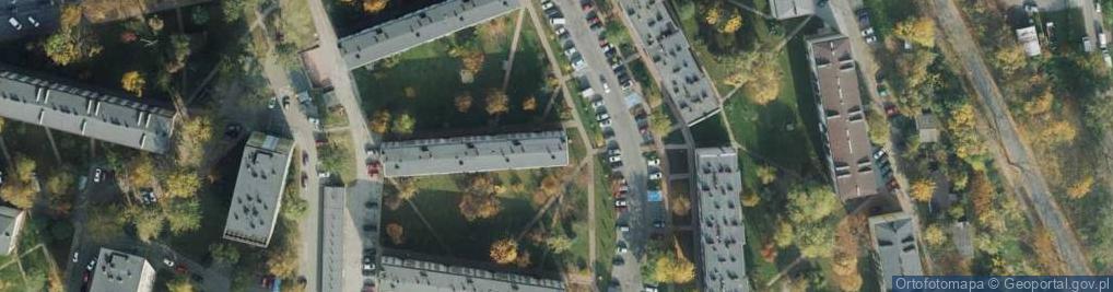 Zdjęcie satelitarne Digital Maple Rafał Słotwiński