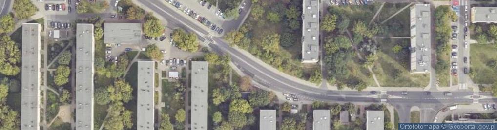Zdjęcie satelitarne Dizel Andrzej Tomasz Tonczyk