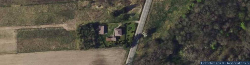 Zdjęcie satelitarne Dla Zwierząt