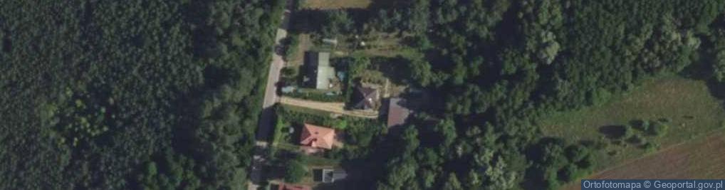 Zdjęcie satelitarne Dobrowolski