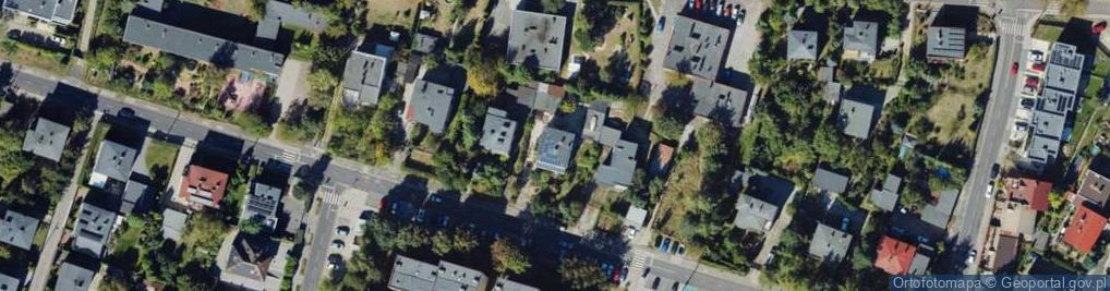 Zdjęcie satelitarne DOG&CAT