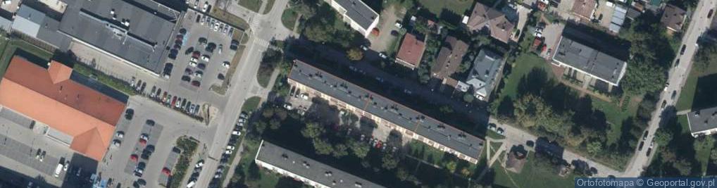 Zdjęcie satelitarne Domena
