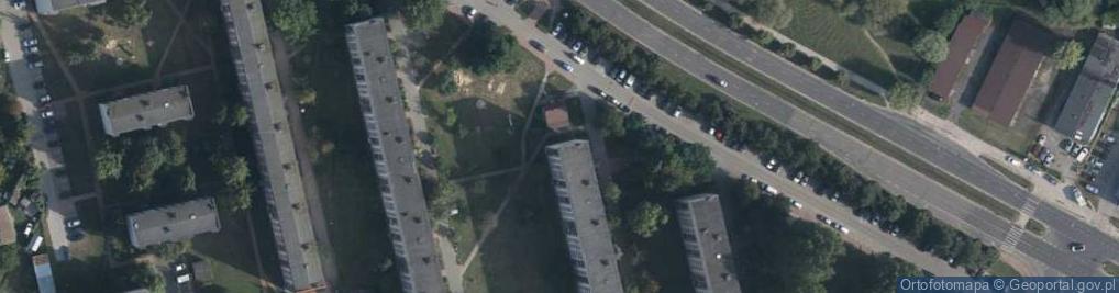 Zdjęcie satelitarne Dominika Kośla Arnica