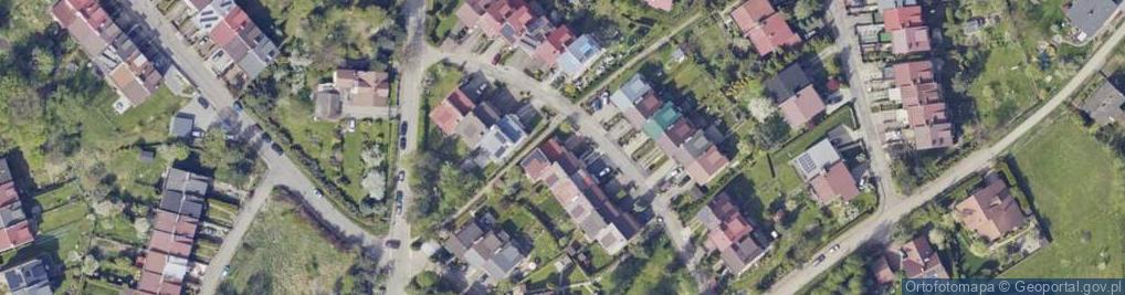 Zdjęcie satelitarne Dominika Krowiak