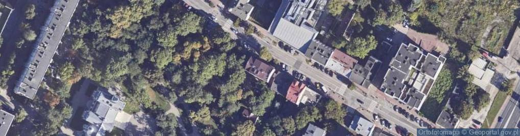 Zdjęcie satelitarne Dominika Woźniak Bash-Art