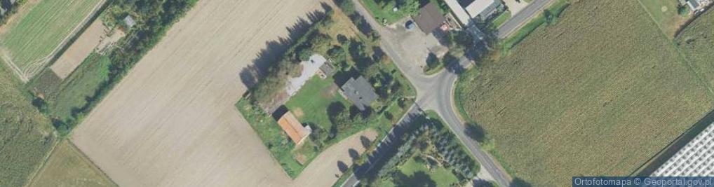 Zdjęcie satelitarne Dominika