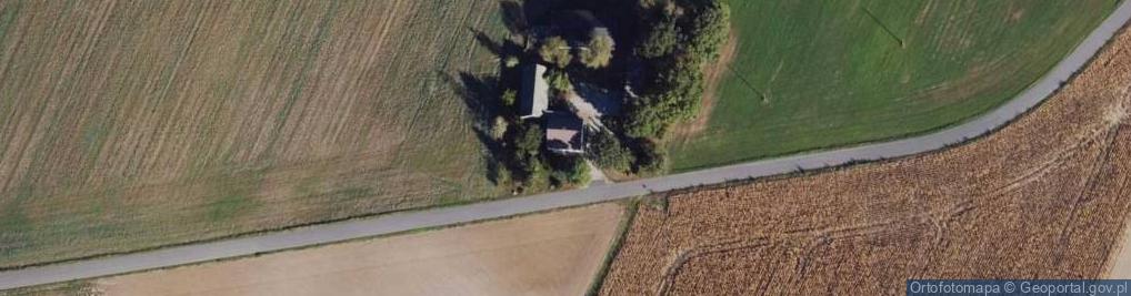 Zdjęcie satelitarne DORI