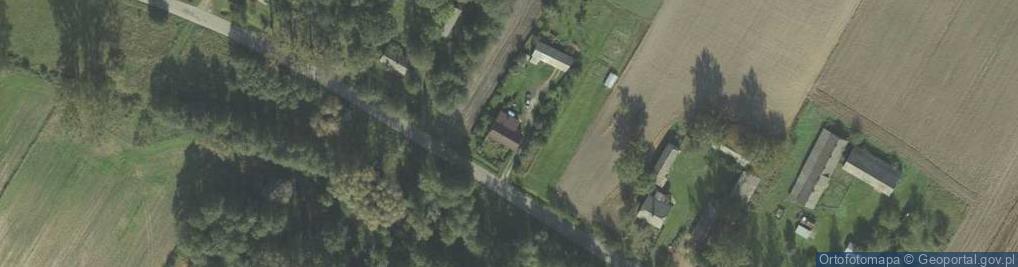 Zdjęcie satelitarne Dorota Baranowska