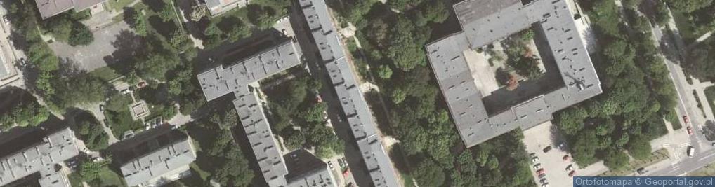 Zdjęcie satelitarne Dorota Bojdo Zespół Kop