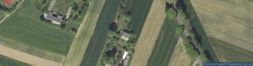 Zdjęcie satelitarne Dorota Borek - Działalność Gospodarcza