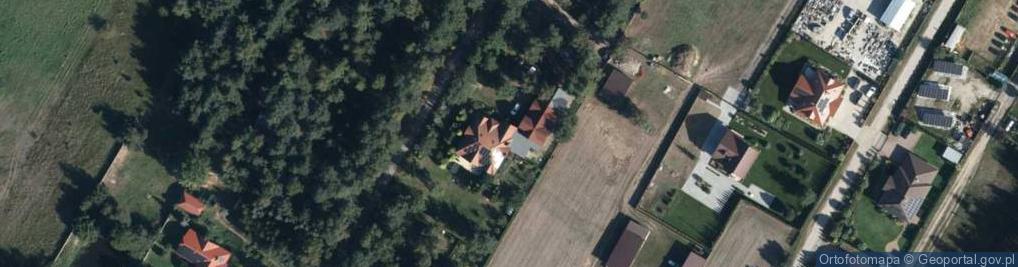 Zdjęcie satelitarne Dorota Matysiak