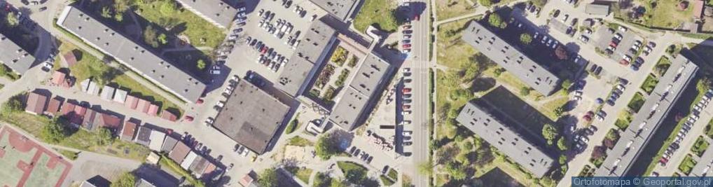 Zdjęcie satelitarne Dorota Pach - Działalność Gospodarcza