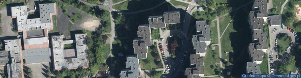 Zdjęcie satelitarne Dorota Witaszek - Działalność Gospodarcza
